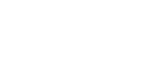 Volkswagon Volkswagon